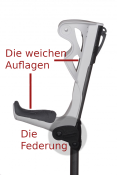 ERGODYNAMIC - 1 Stück
